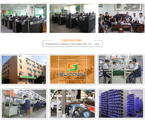 China Shenzhen Ecsson Technology Co.,Limited