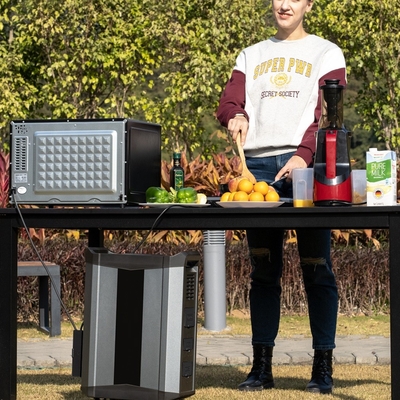 Commercial MPPT Electric Solar Panel Generator Battery 2500W